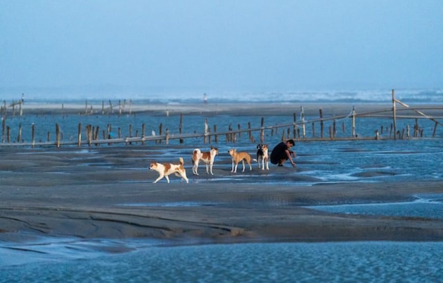 SUNDERBAN TOUR PACKAGE 1